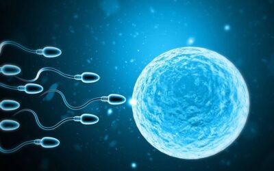 IVF in India for UAE & GCC Couples – Trusted Fertility Treatment with Gulf Corner Medical Tourism Bangalore